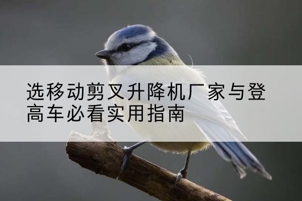 公安电动升降机厂家-选移动剪叉升降机厂家与登高车必看实用指南