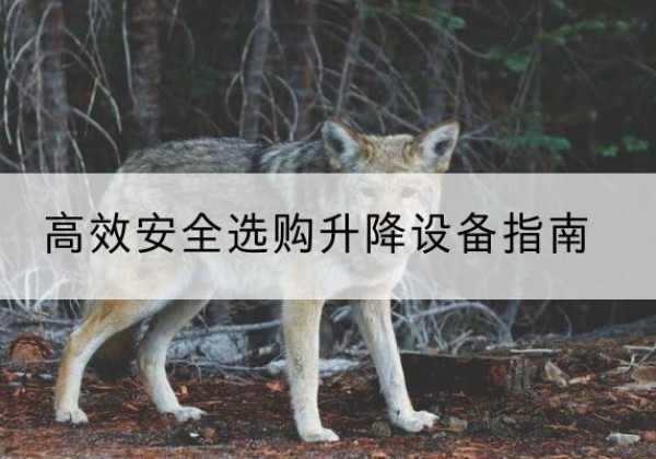 公安升降货梯厂家推荐-*安全选购升降设备指南